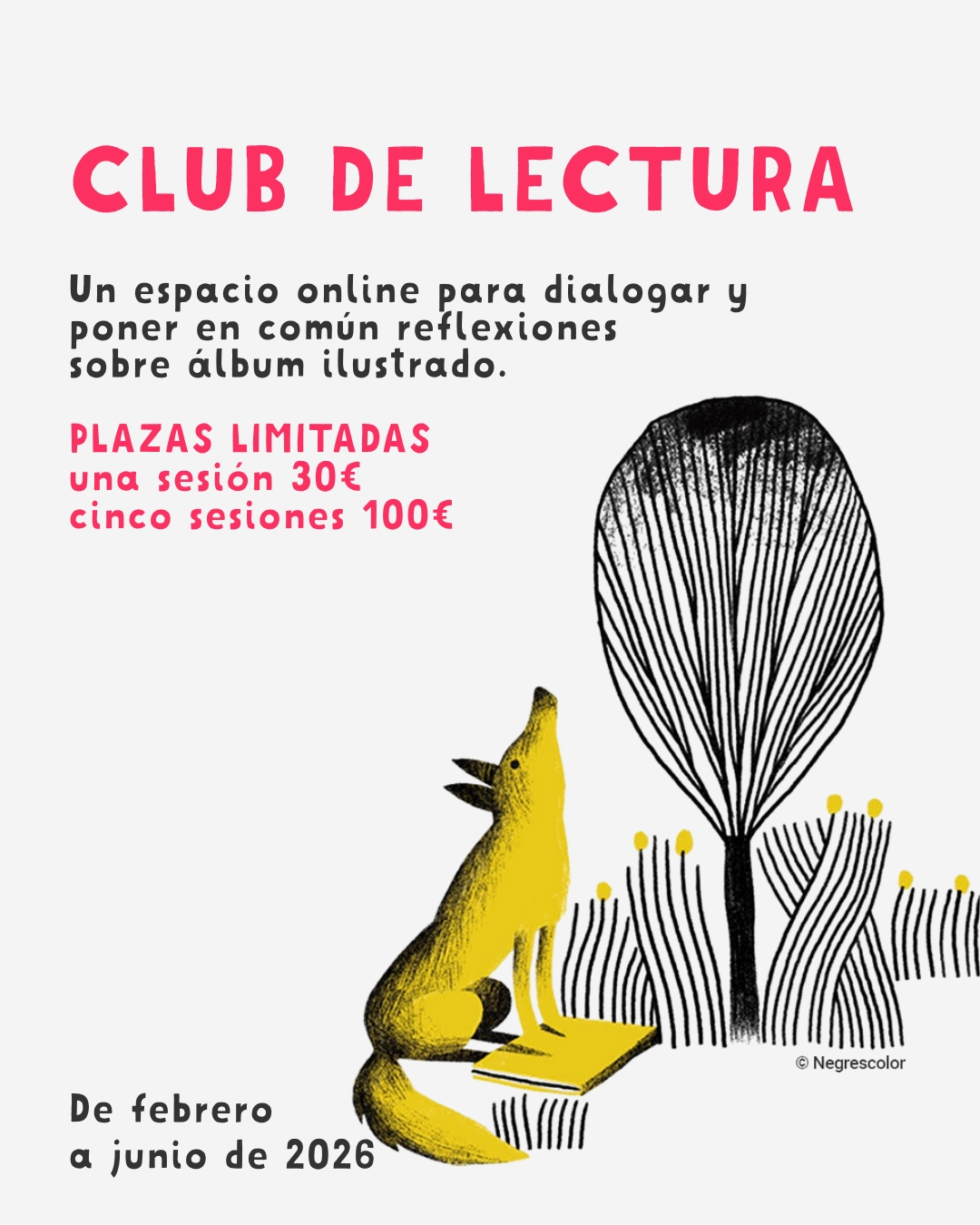 guías de lectura álbum ilustrado